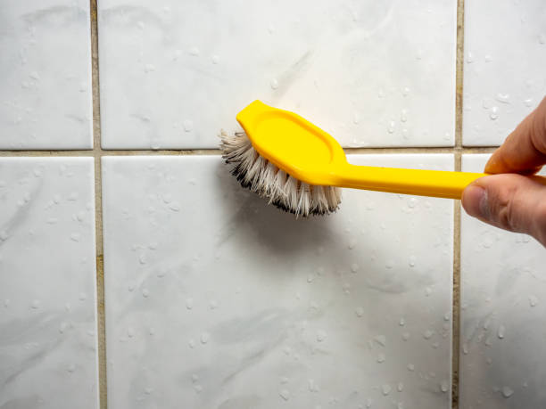 Mold Removal and Inspection in Ensley, FL