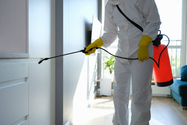 Best Best Mold Removal Companies  in Ensley, FL