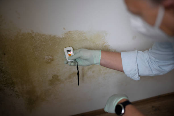 Best Water Damage Restoration  in Ensley, FL