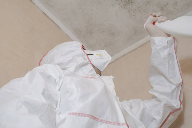 Best Mold Testing  in Ensley, FL